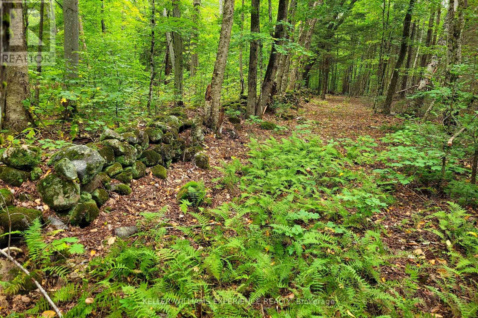 320 Proudfoot Road, Joly, Ontario  P0A 1Z0 - Photo 7 - X12075537