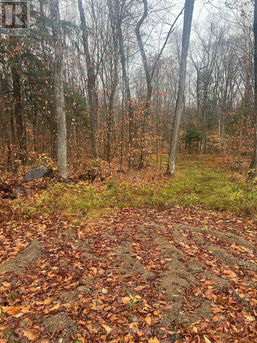 320 Proudfoot Road, Joly, Ontario  P0A 1Z0 - Photo 3 - X12075537