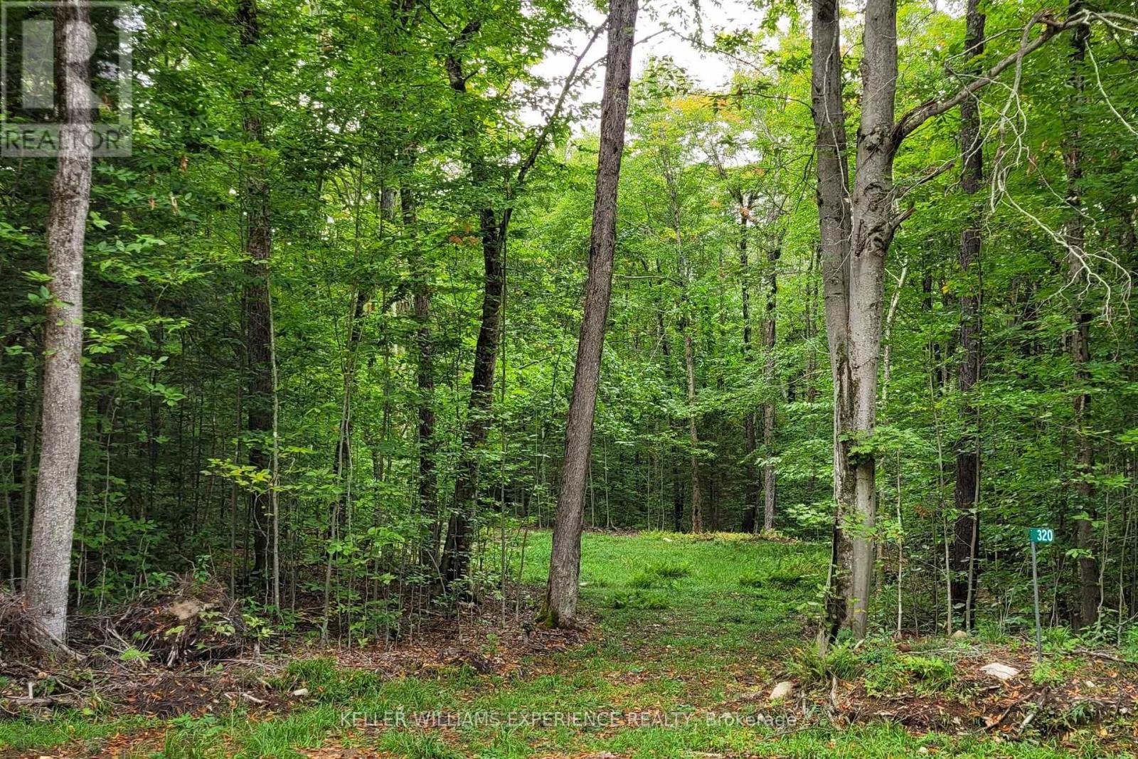 320 Proudfoot Road, Joly, Ontario  P0A 1Z0 - Photo 5 - X12075537