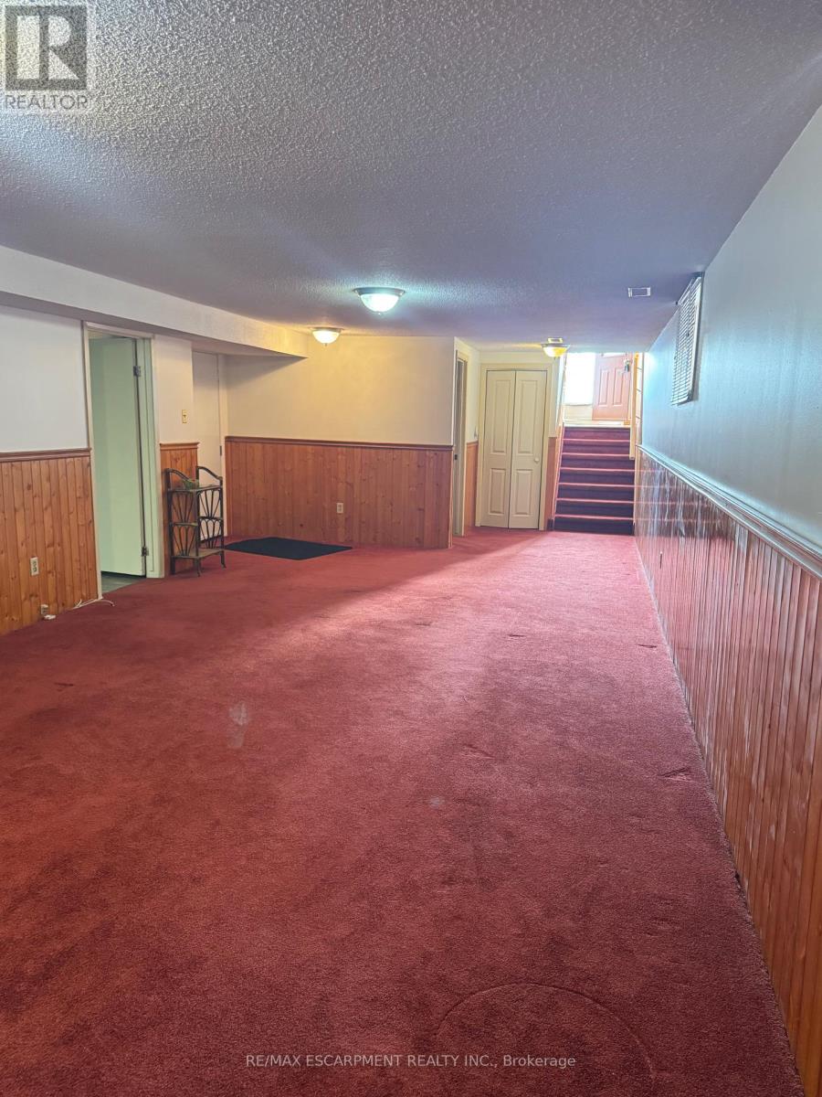 133 Burwell Street, Brantford, Ontario  N3T 4V2 - Photo 22 - X12596970