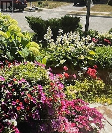 21 Vista Green Crescent, Brampton, Ontario  L7A 2S3 - Photo 35 - W12808768