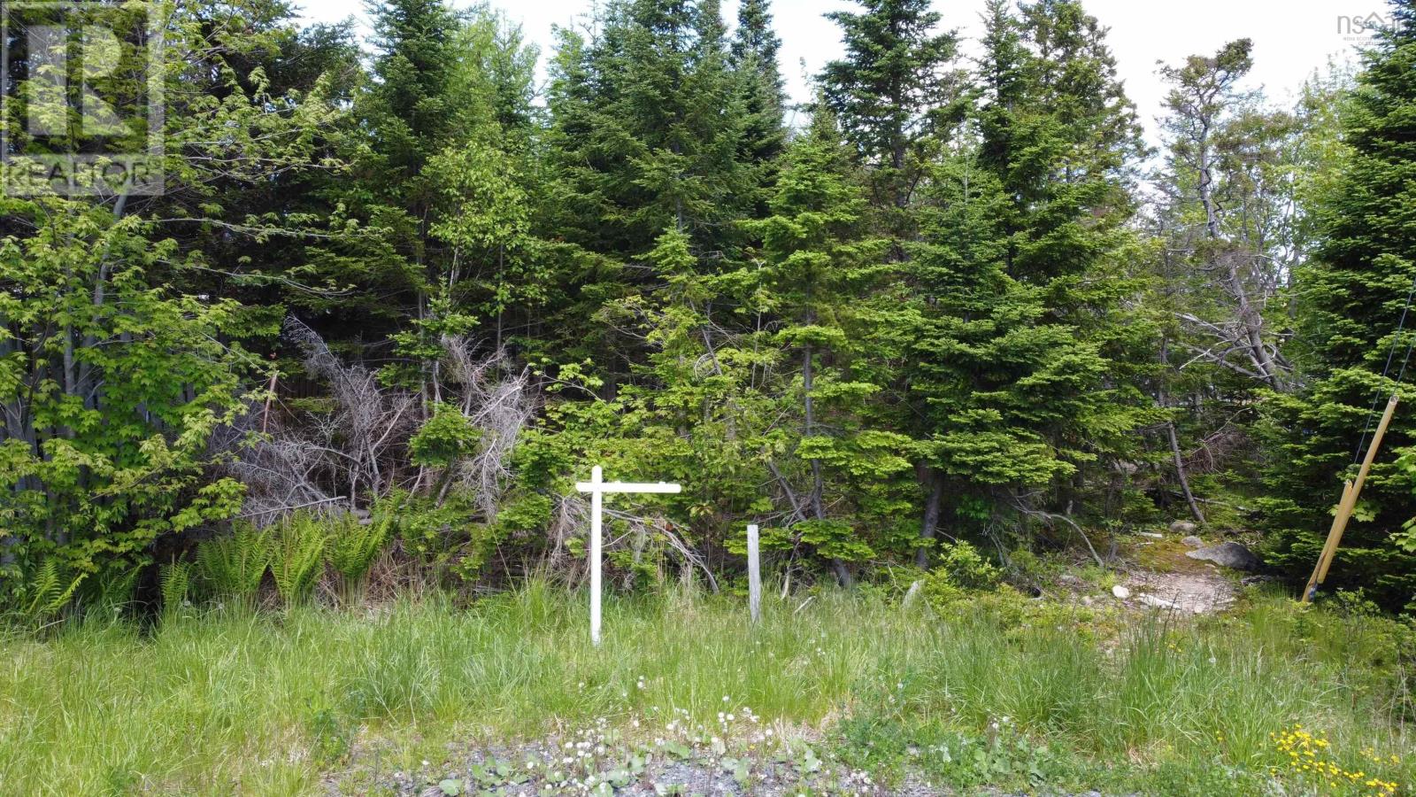 12 Dragonfly Lane, Herring Cove, Nova Scotia  B3V 0C6 - Photo 2 - 202603190