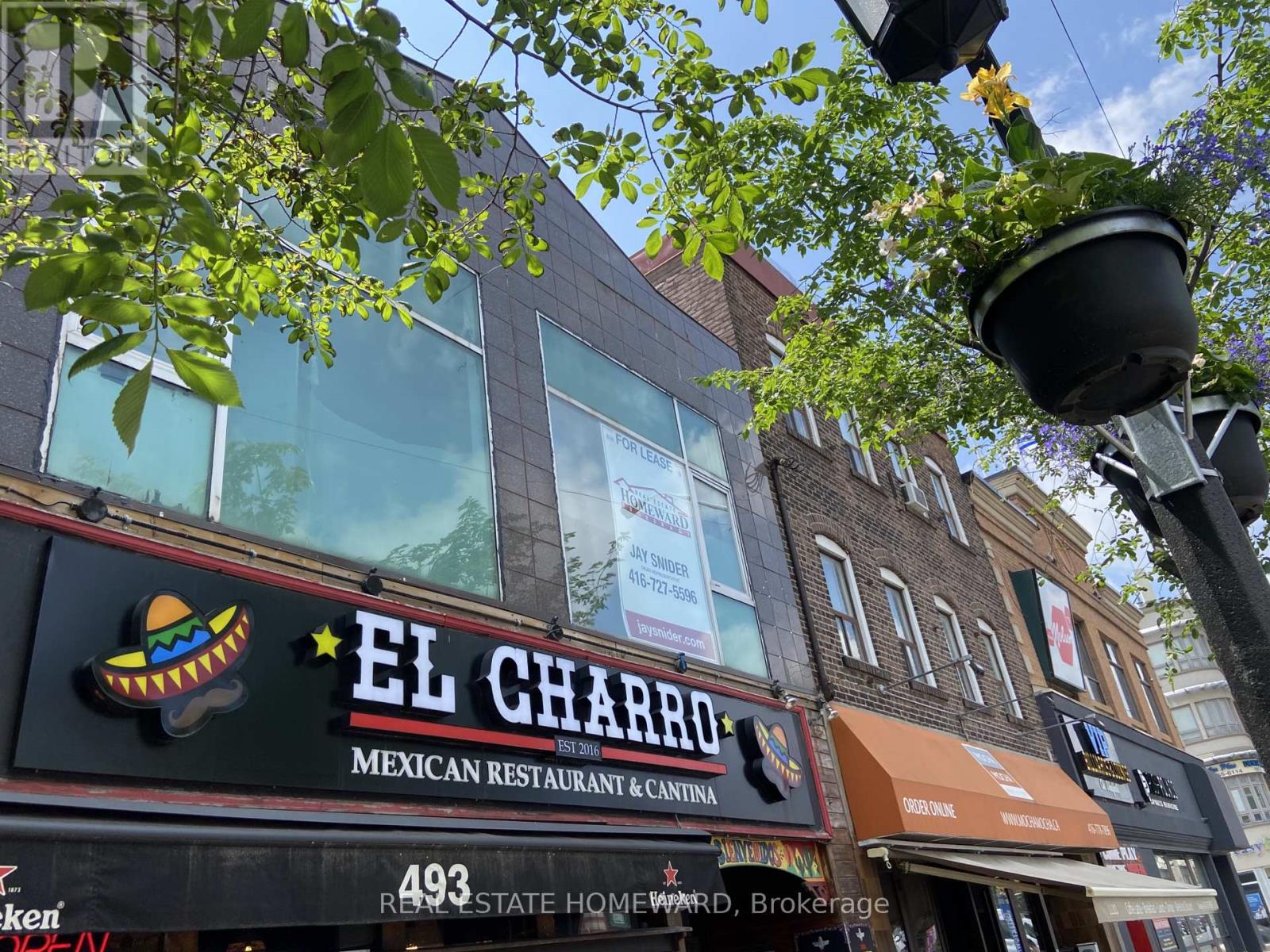 493A DANFORTH AVENUE, Toronto, Ontario