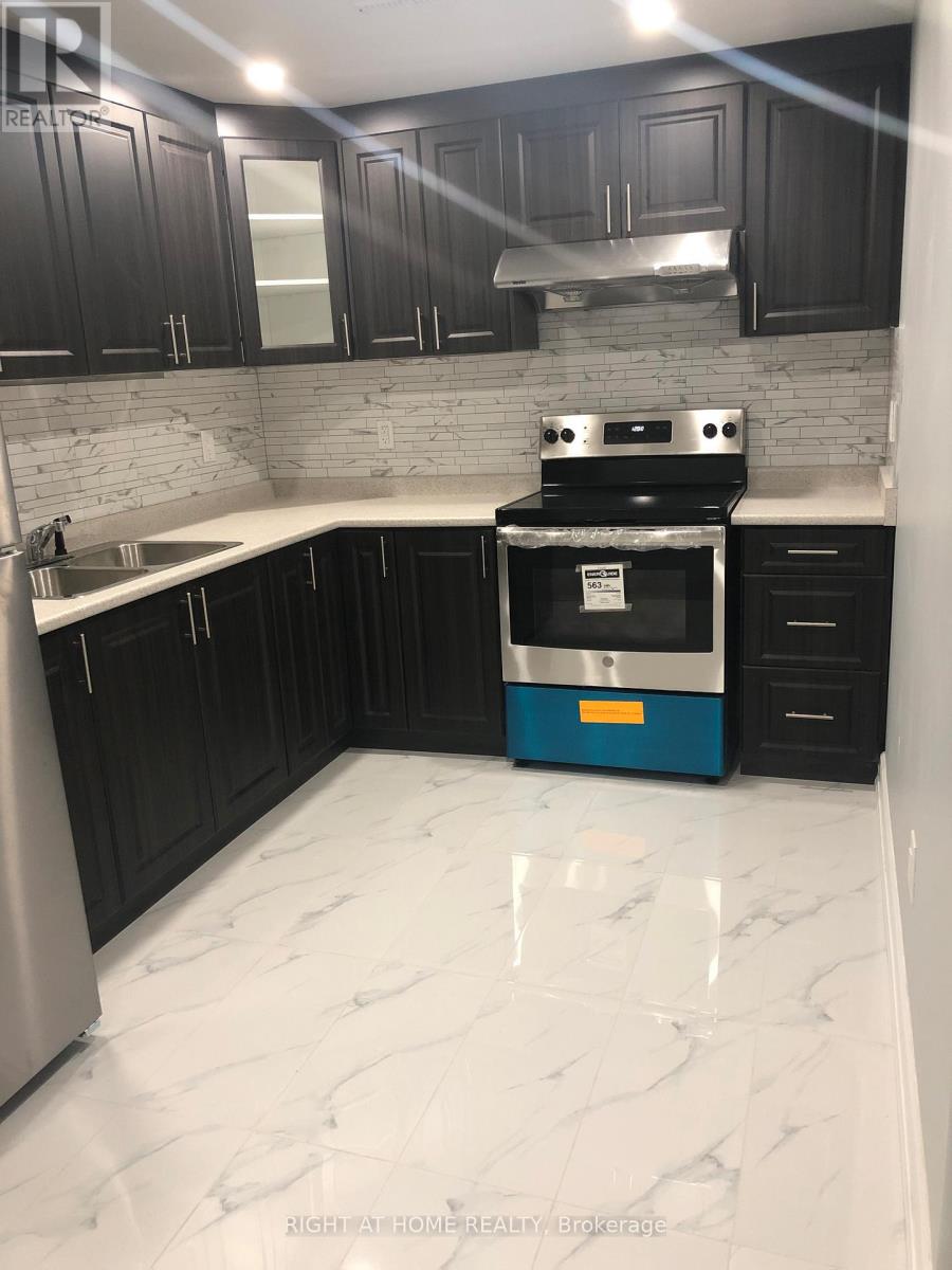 Basement - 978 Bristol Road W, Mississauga, Ontario  L5V 0C5 - Photo 3 - W12809114