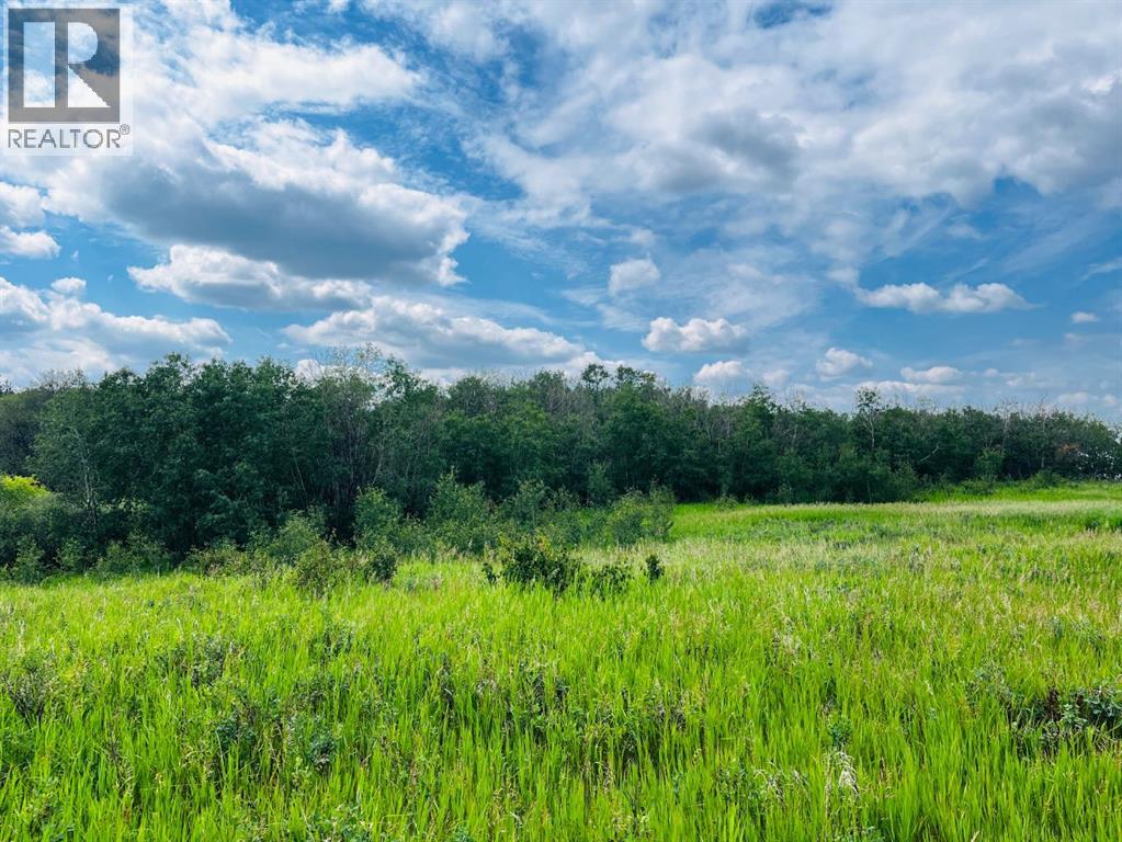 Pt. Se-6-49-5-W4, Rural Vermilion River, Alberta  T9X 2B1 - Photo 10 - A2237873