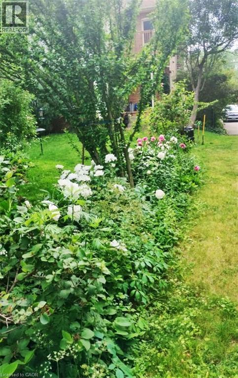 25 Fairmount Avenue, Hamilton, Ontario  L8P 3Z4 - Photo 41 - 40795558