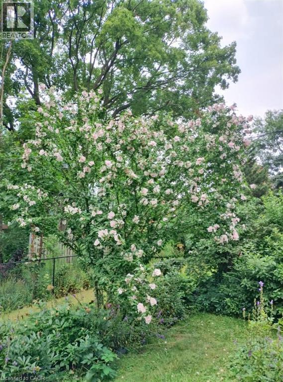 25 Fairmount Avenue, Hamilton, Ontario  L8P 3Z4 - Photo 39 - 40795558