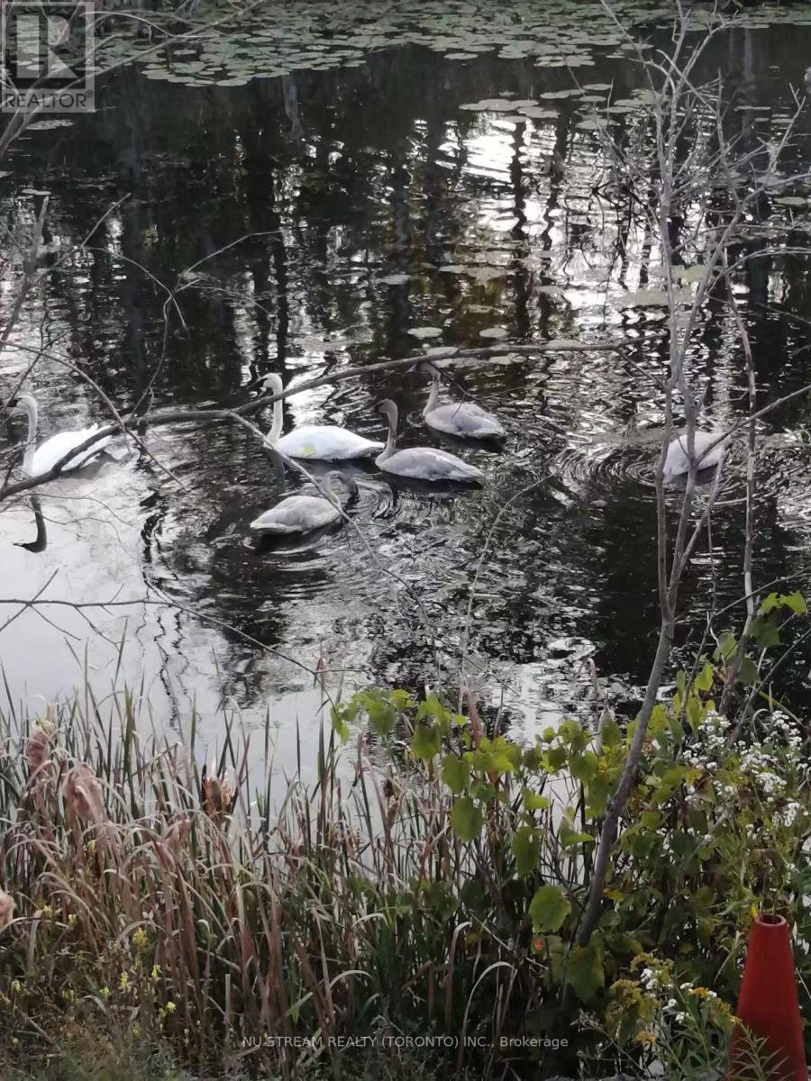 72 Snively Street, Richmond Hill, Ontario  L4E 3E6 - Photo 13 - N12783162