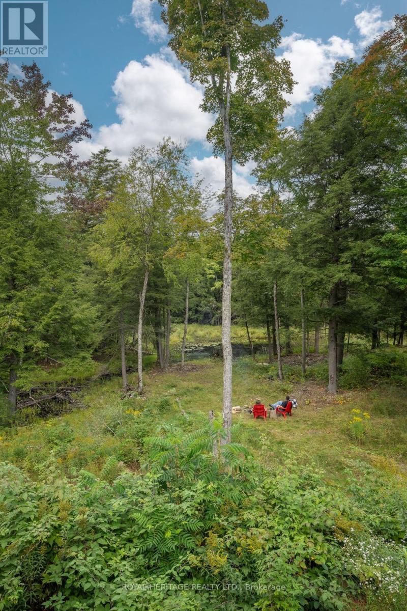 20195 62 Highway, Tudor And Cashel (Tudor Ward), Ontario  K0K 1Y0 - Photo 34 - X12809250