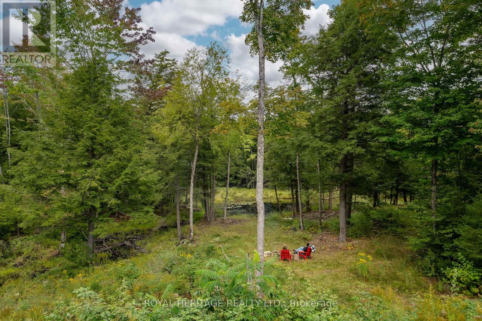 20195 62 Highway, Tudor And Cashel (Tudor Ward), Ontario  K0K 1Y0 - Photo 35 - X12809250