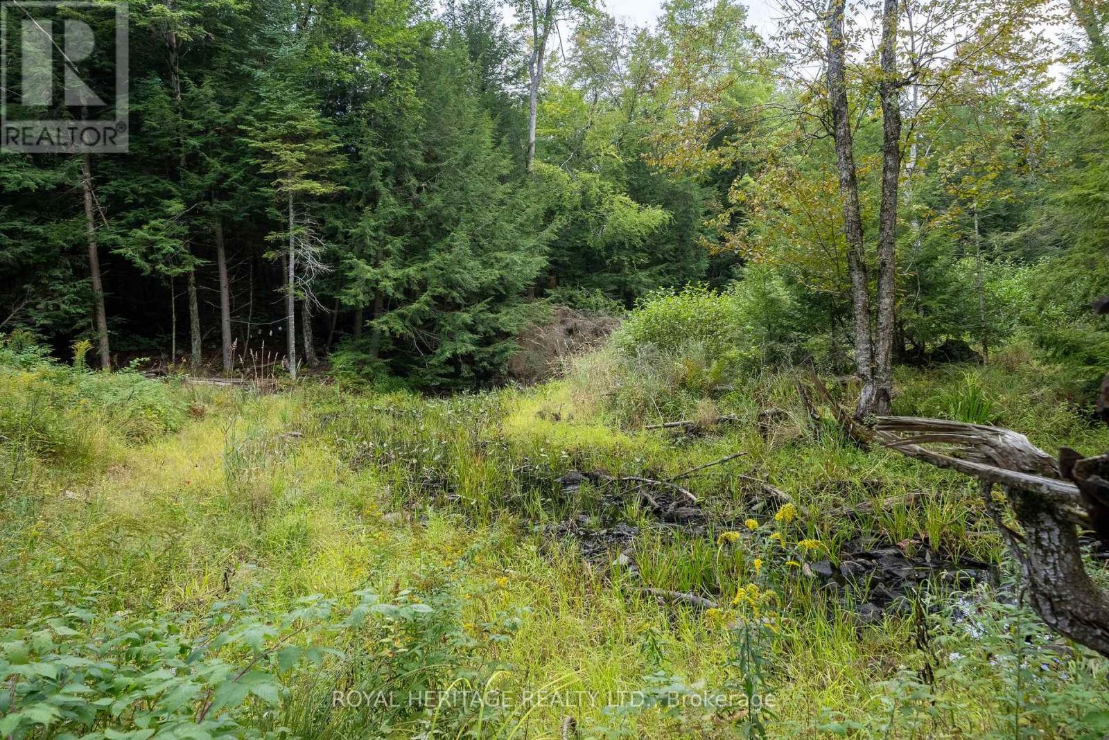 20195 62 Highway, Tudor And Cashel (Tudor Ward), Ontario  K0K 1Y0 - Photo 40 - X12809250