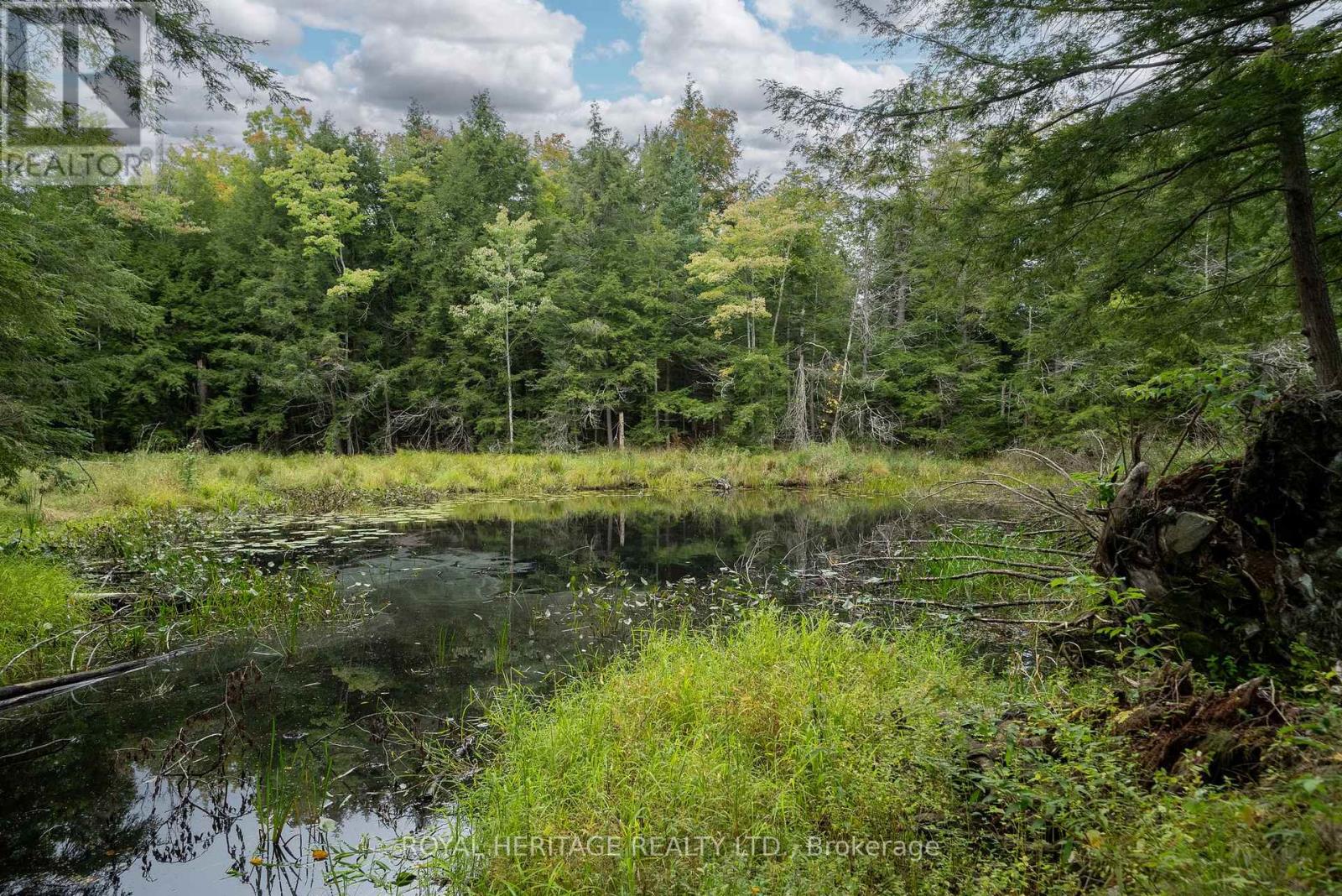20195 62 Highway, Tudor And Cashel (Tudor Ward), Ontario  K0K 1Y0 - Photo 41 - X12809250
