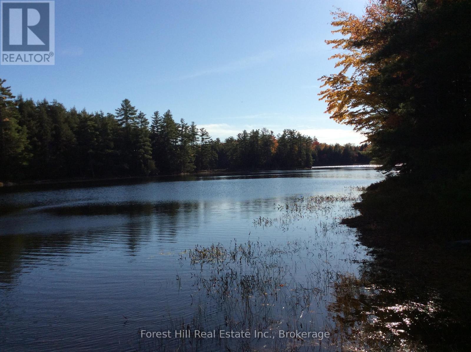 1107 Crane Lake Road, Algonquin Highlands, Ontario  P0A 1E0 - Photo 38 - X12758824