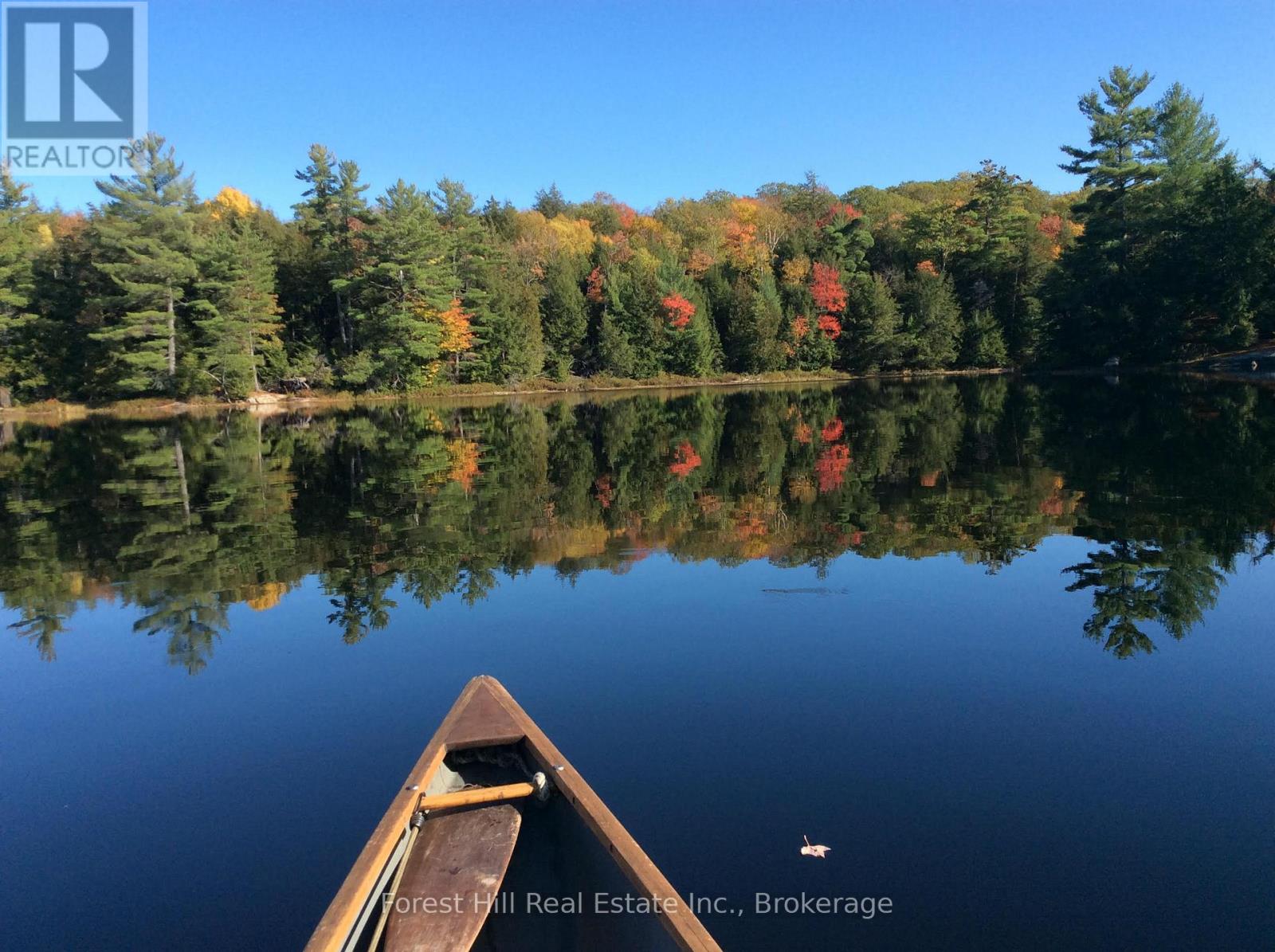 1107 Crane Lake Road, Algonquin Highlands, Ontario  P0A 1E0 - Photo 39 - X12758824