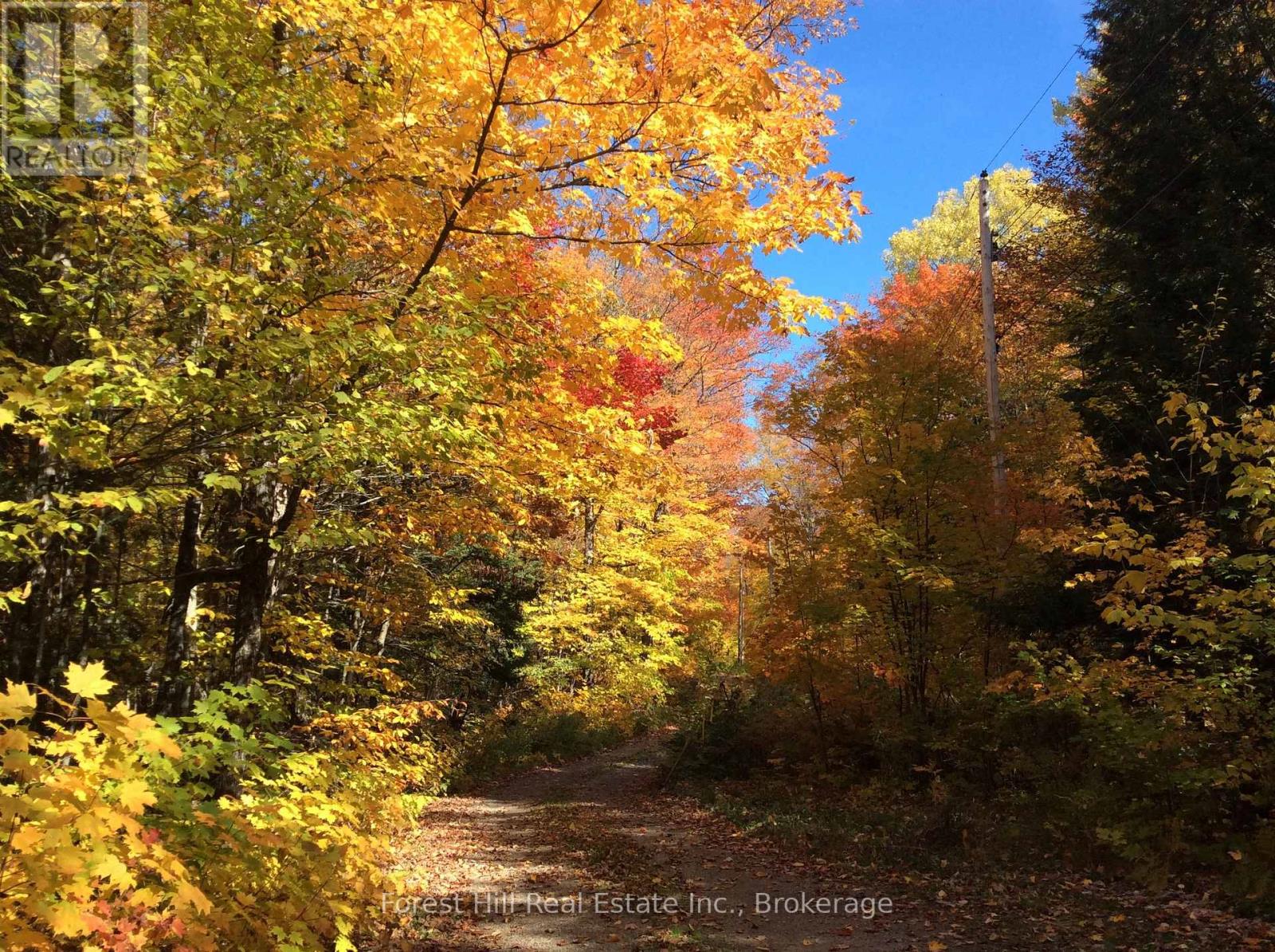 1107 Crane Lake Road, Algonquin Highlands, Ontario  P0A 1E0 - Photo 41 - X12758824