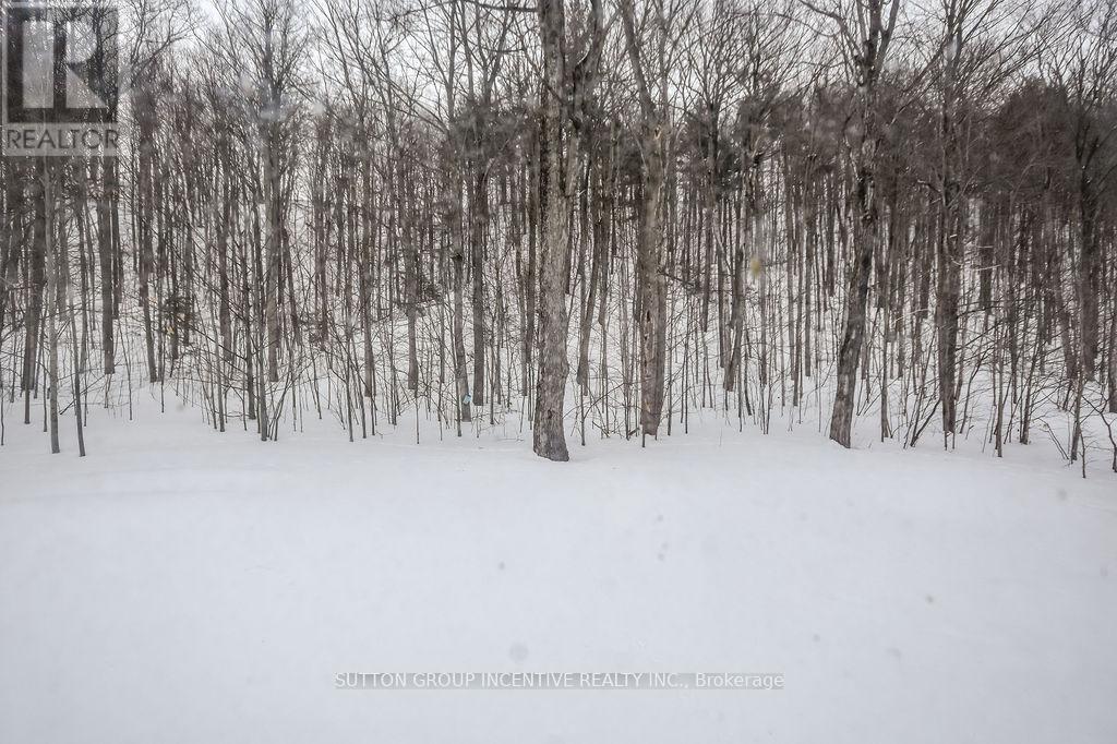 113 Desroches Trail, Tiny, Ontario  L0M 0H9 - Photo 48 - S12768104