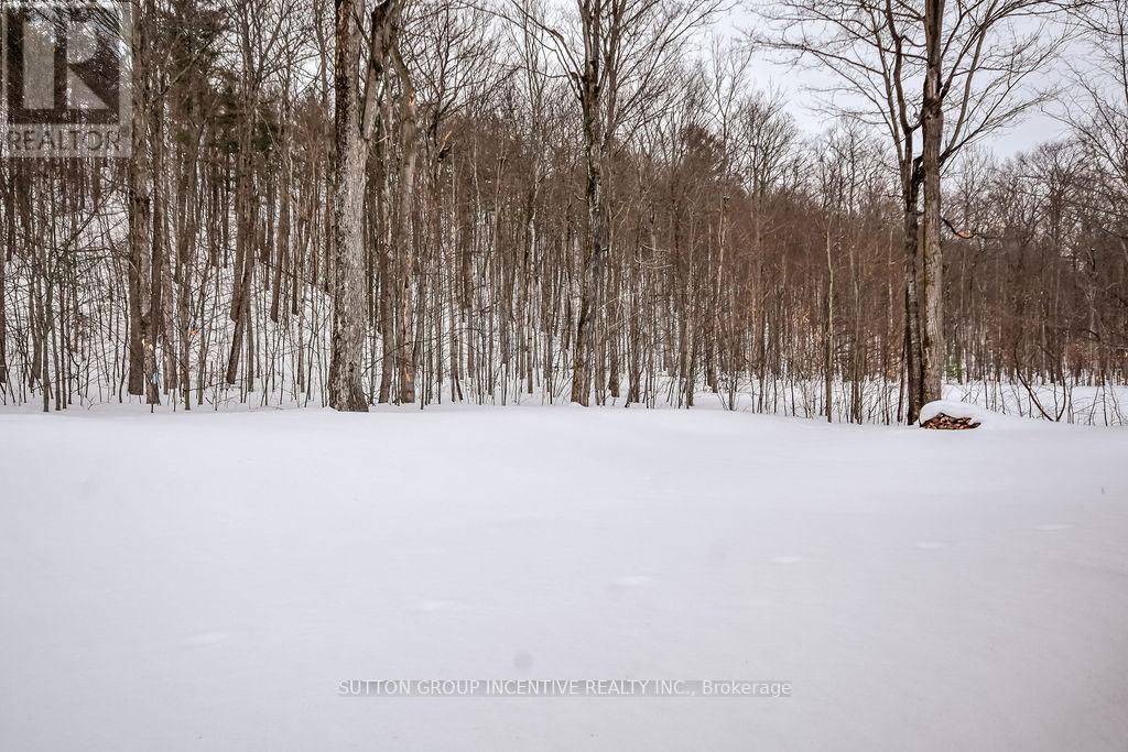 113 Desroches Trail, Tiny, Ontario  L0M 0H9 - Photo 49 - S12768104