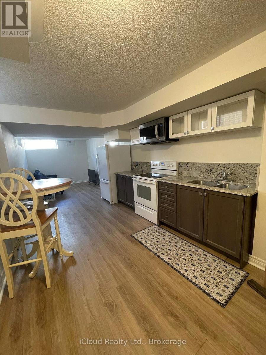 Lower - 3925 Lodi Road N, Burlington, Ontario  L7M 0Z5 - Photo 4 - W12809380