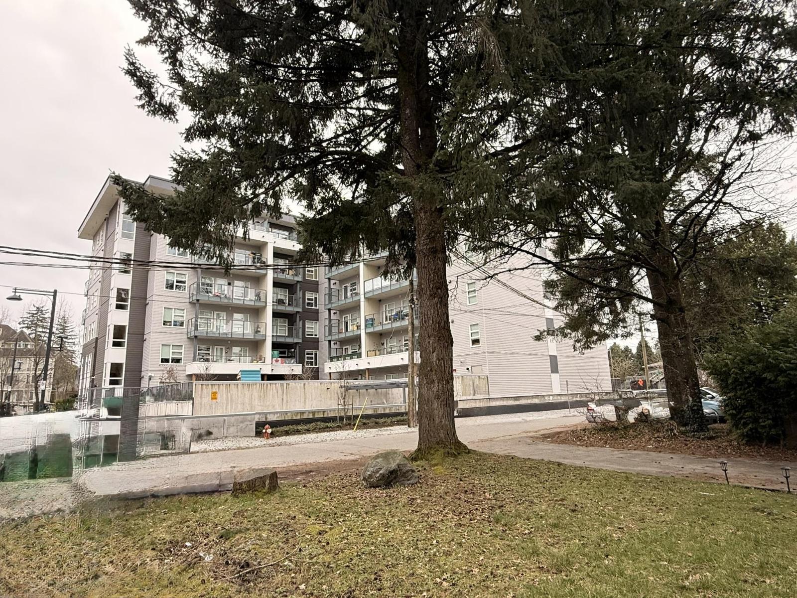 13231 104a Avenue, Surrey, British Columbia  V3T 1Y6 - Photo 11 - R3091729