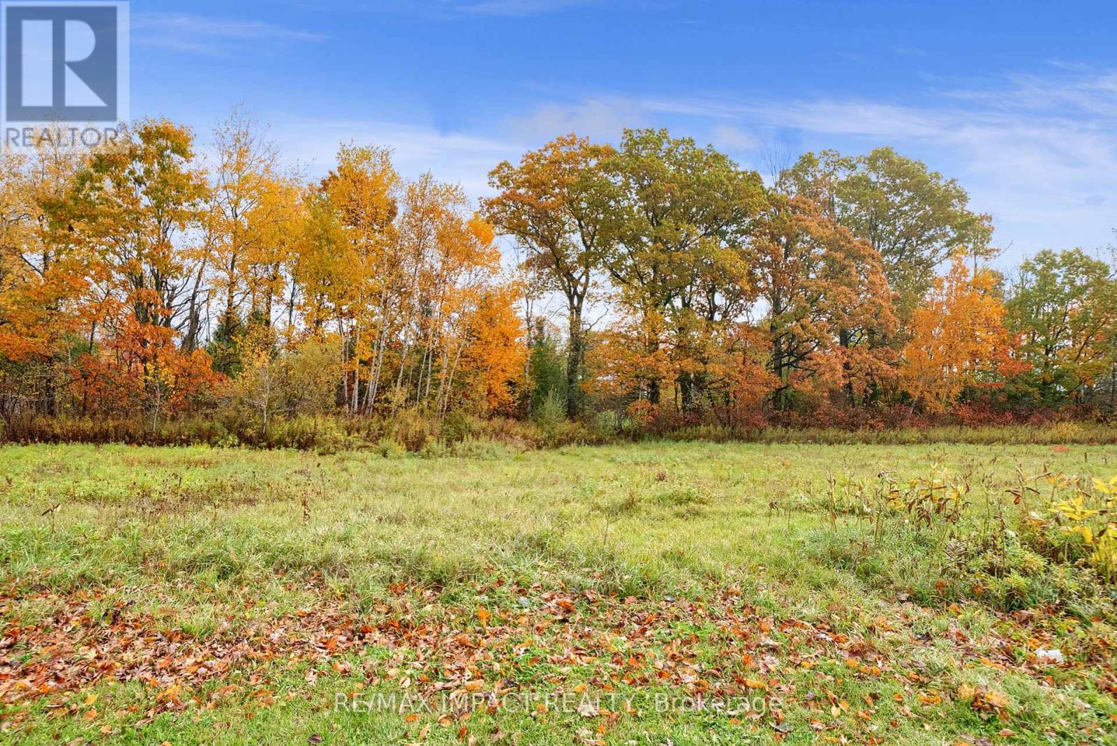 121 Whitehead Road, Alnwick/haldimand (Grafton), Ontario  K0K 2G0 - Photo 46 - X12809486