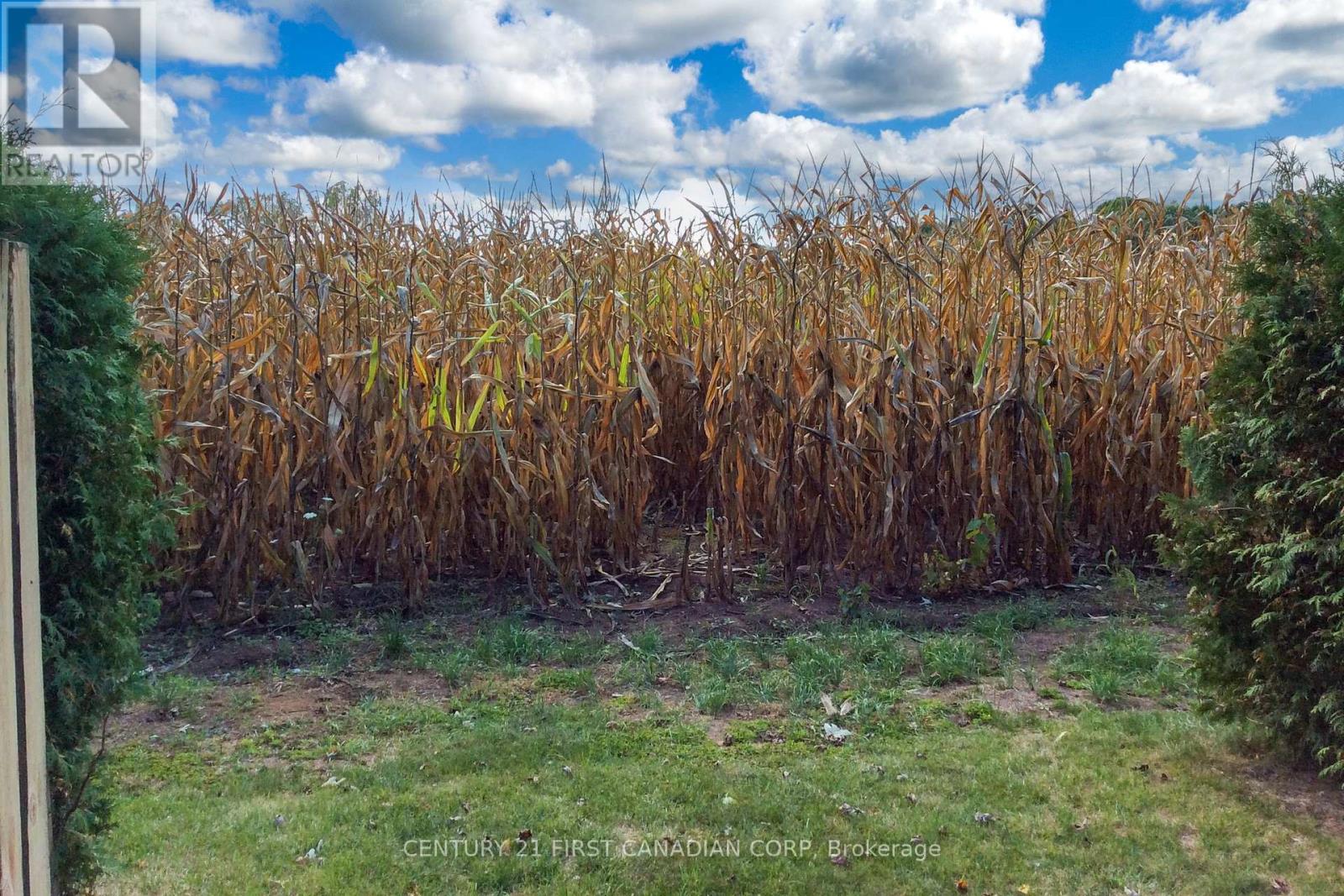 106 Angelo Drive, West Elgin, Ontario  N0L 2P0 - Photo 43 - X12461950