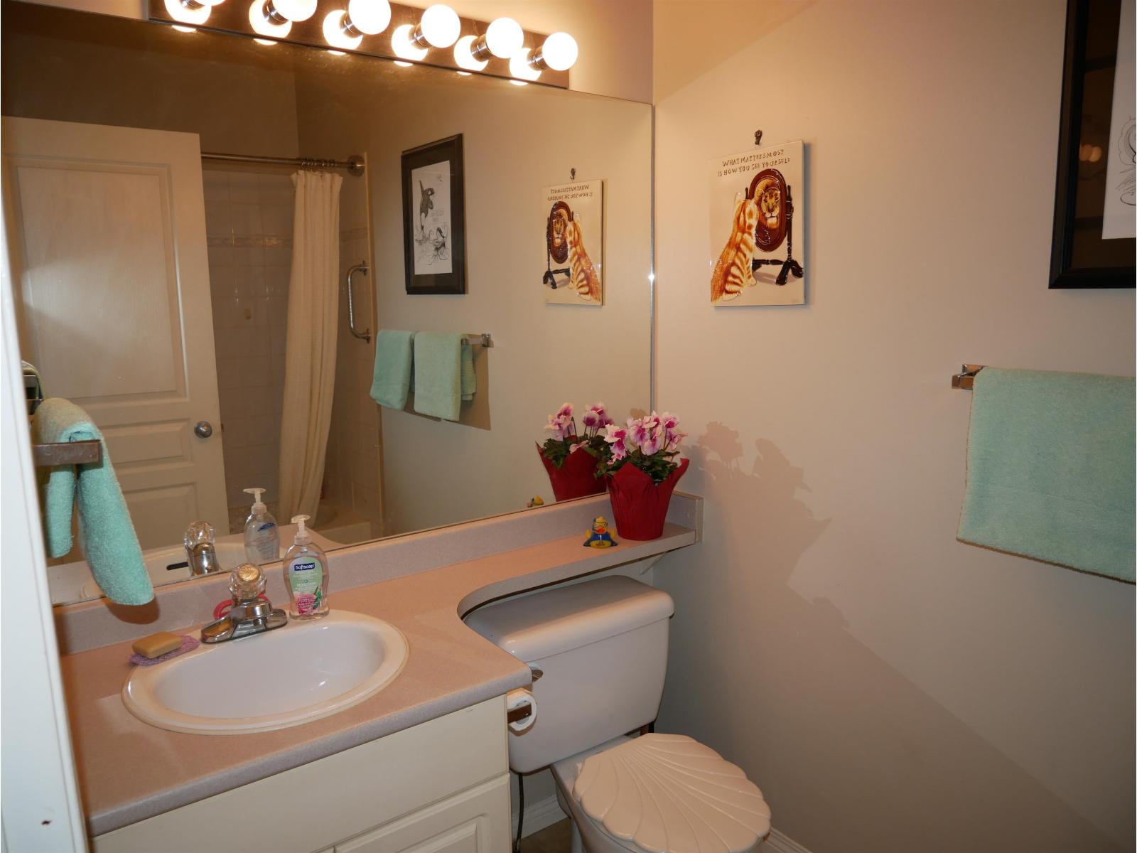 148 33751 Seventh Avenue, Mission, British Columbia  V2V 7C2 - Photo 17 - R3091768