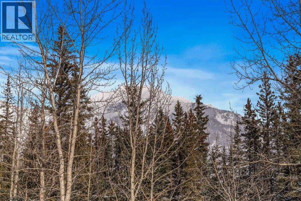 1, 105 Rundle Drive, Canmore, Alberta  T1W 2L8 - Photo 13 - A2287623