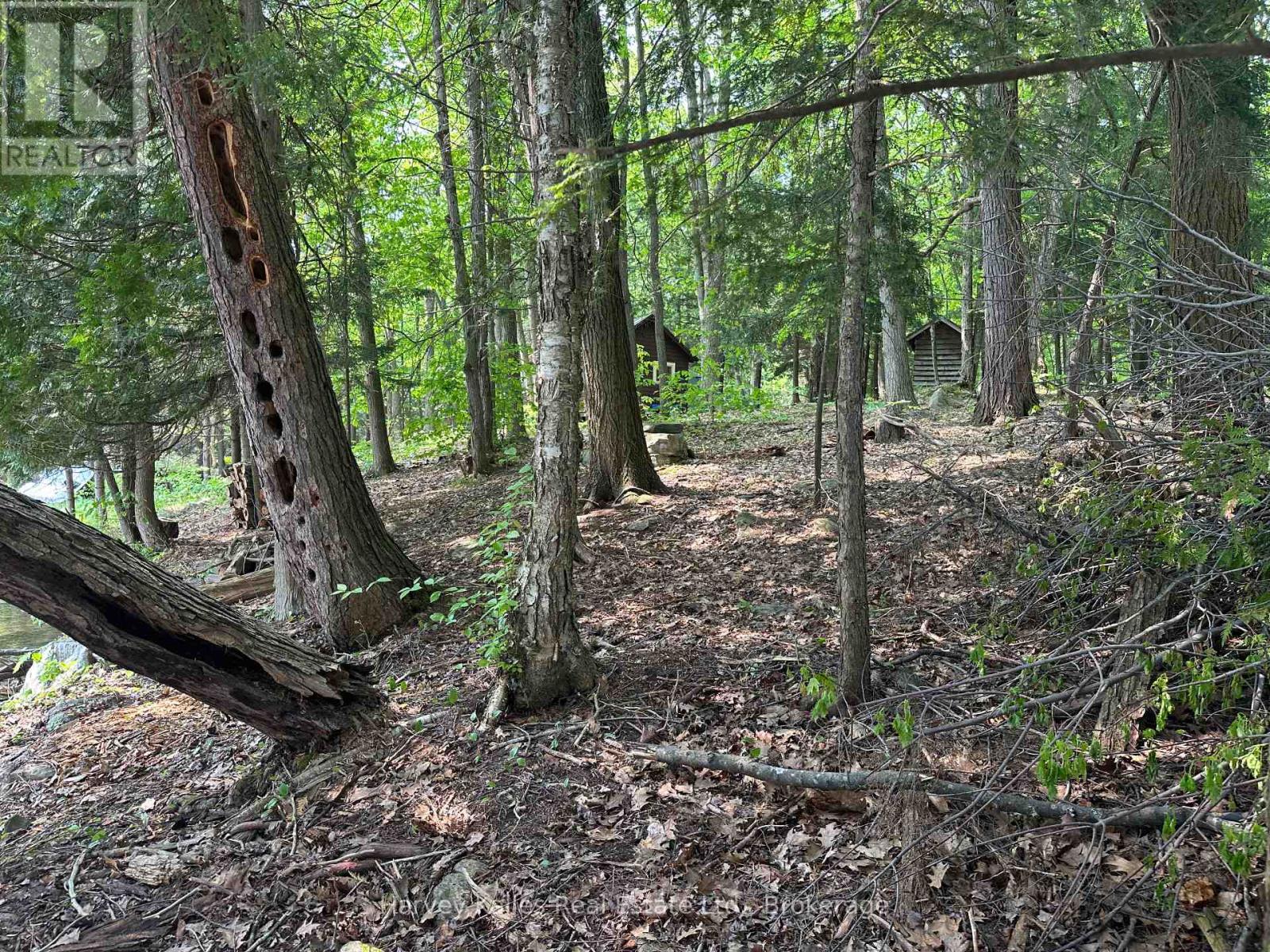 4 - 1254 Barlochan Road, Muskoka Lakes, Ontario P1P 1R2 - Photo 42 - X12264878