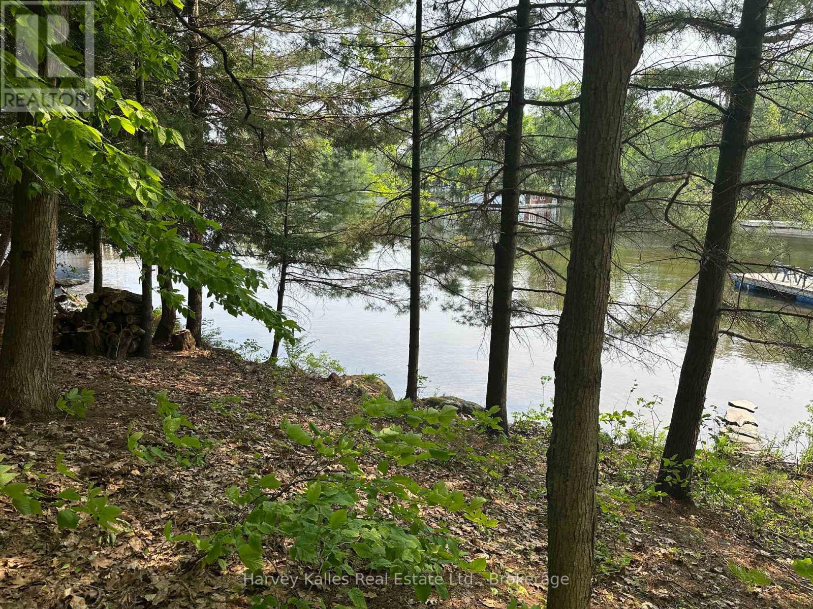 4 - 1254 Barlochan Road, Muskoka Lakes, Ontario P1P 1R2 - Photo 41 - X12264878