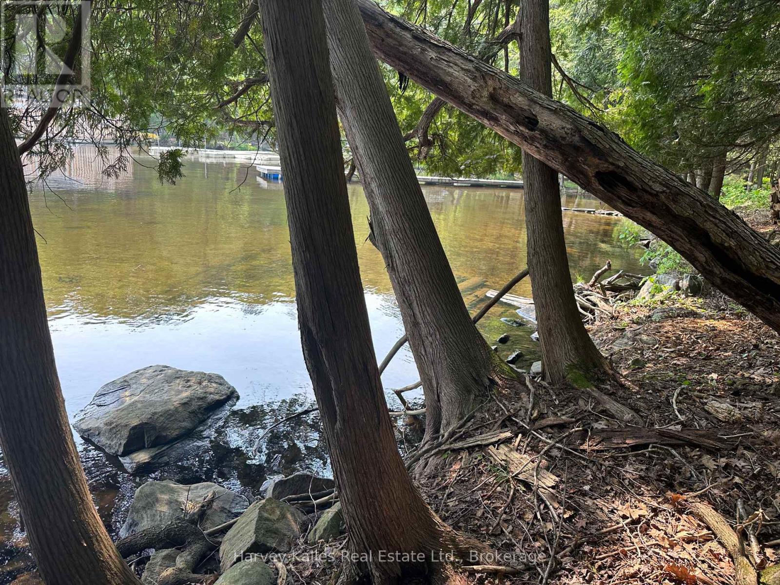 4 - 1254 Barlochan Road, Muskoka Lakes, Ontario P1P 1R2 - Photo 8 - X12264878