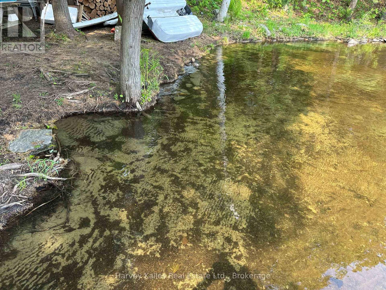 4 - 1254 Barlochan Road, Muskoka Lakes, Ontario P1P 1R2 - Photo 7 - X12264878