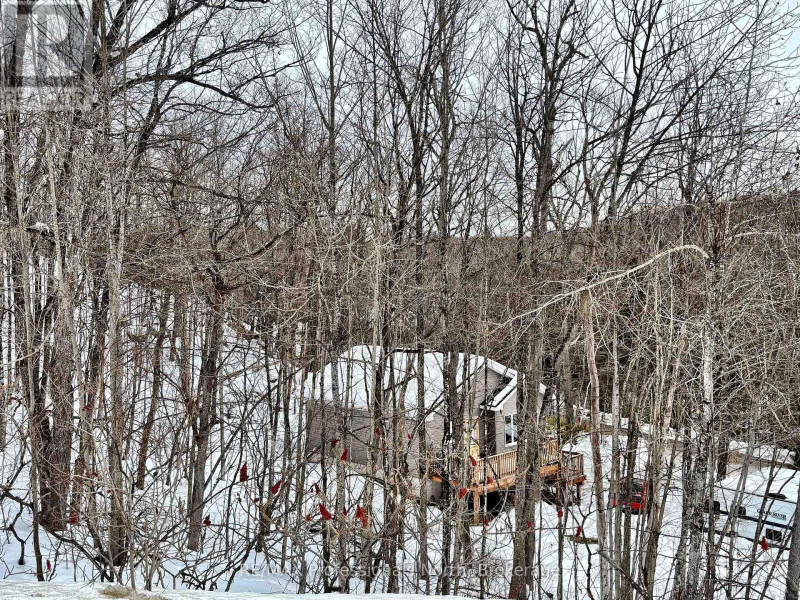 1065 Henderson's Road, Minden Hills (Lutterworth), Ontario  K0M 2S0 - Photo 32 - X12809886