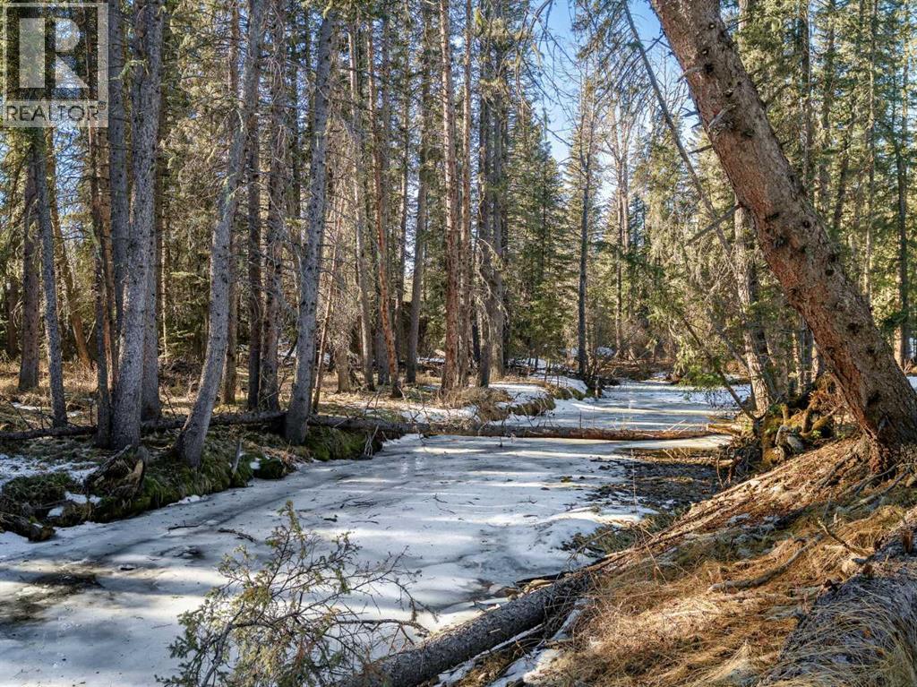 39 Echlin Drive, Bragg Creek, Alberta  T0L 0K0 - Photo 35 - A2280517