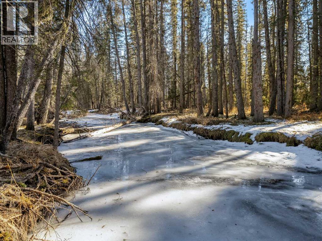 39 Echlin Drive, Bragg Creek, Alberta  T0L 0K0 - Photo 34 - A2280517