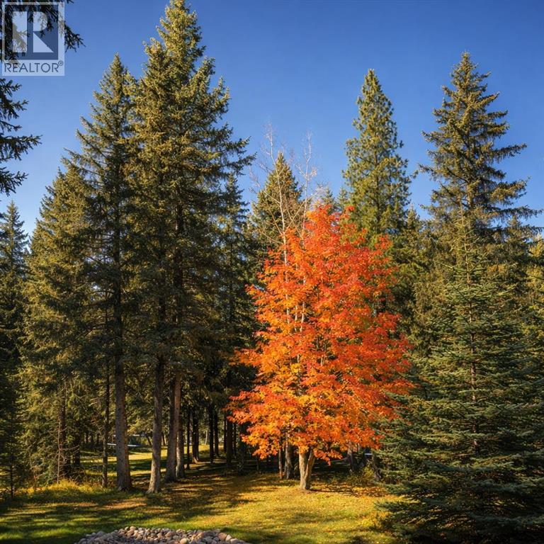 39 Echlin Drive, Bragg Creek, Alberta  T0L 0K0 - Photo 42 - A2280517