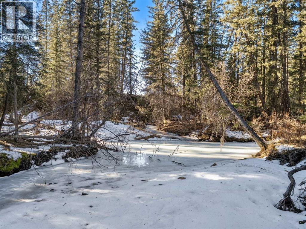 39 Echlin Drive, Bragg Creek, Alberta  T0L 0K0 - Photo 36 - A2280517