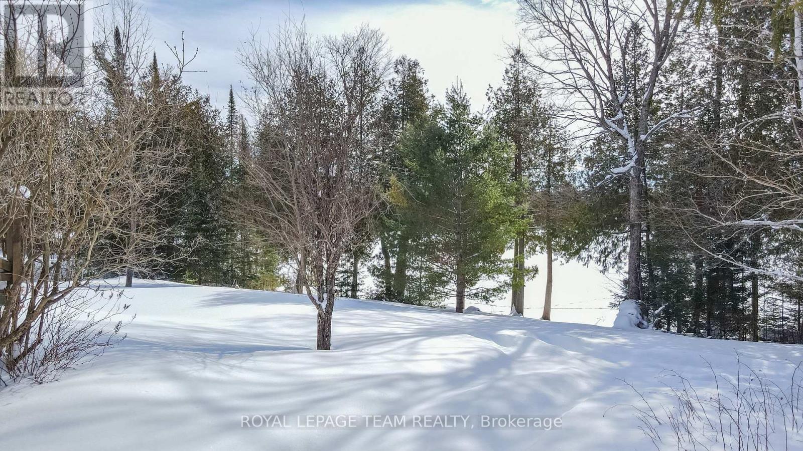 58 Luloff Lane, Brudenell, Ontario  K0J 2E0 - Photo 14 - X12805586