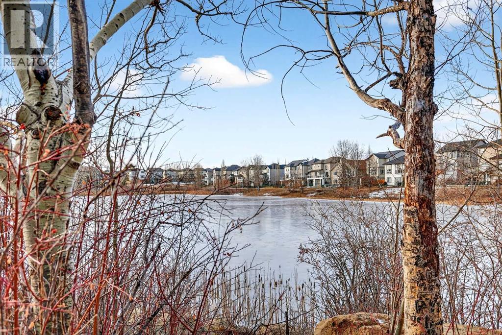 575 Everbrook Way Sw, Calgary, Alberta  T2Y 0J2 - Photo 48 - A2287713