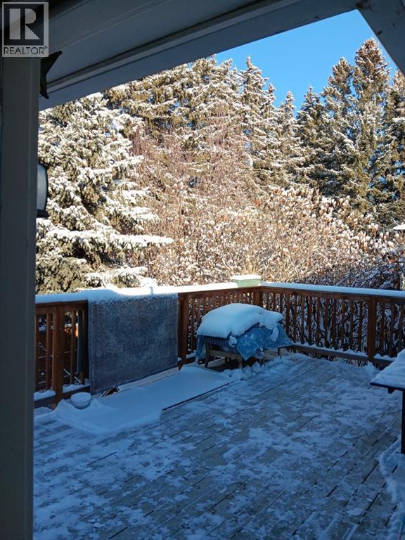 326 First Street, Cremona, Alberta  T0M 0R0 - Photo 32 - A2277290