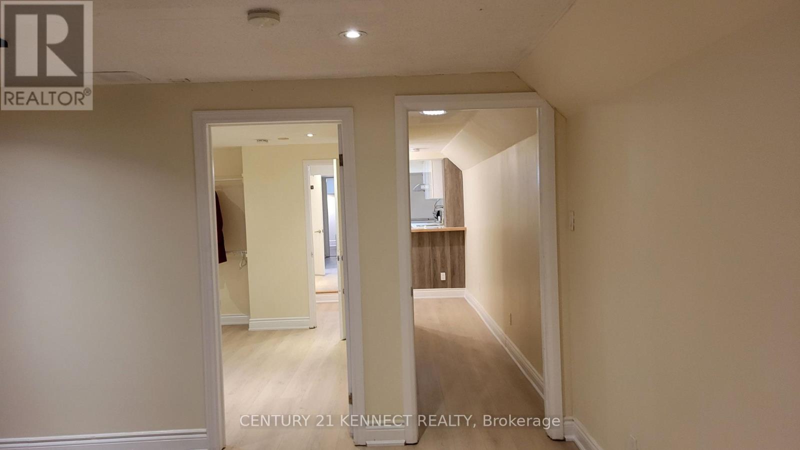 Lower - 181 Augusta Avenue, Toronto, Ontario  M5T 2L4 - Photo 3 - C12810038