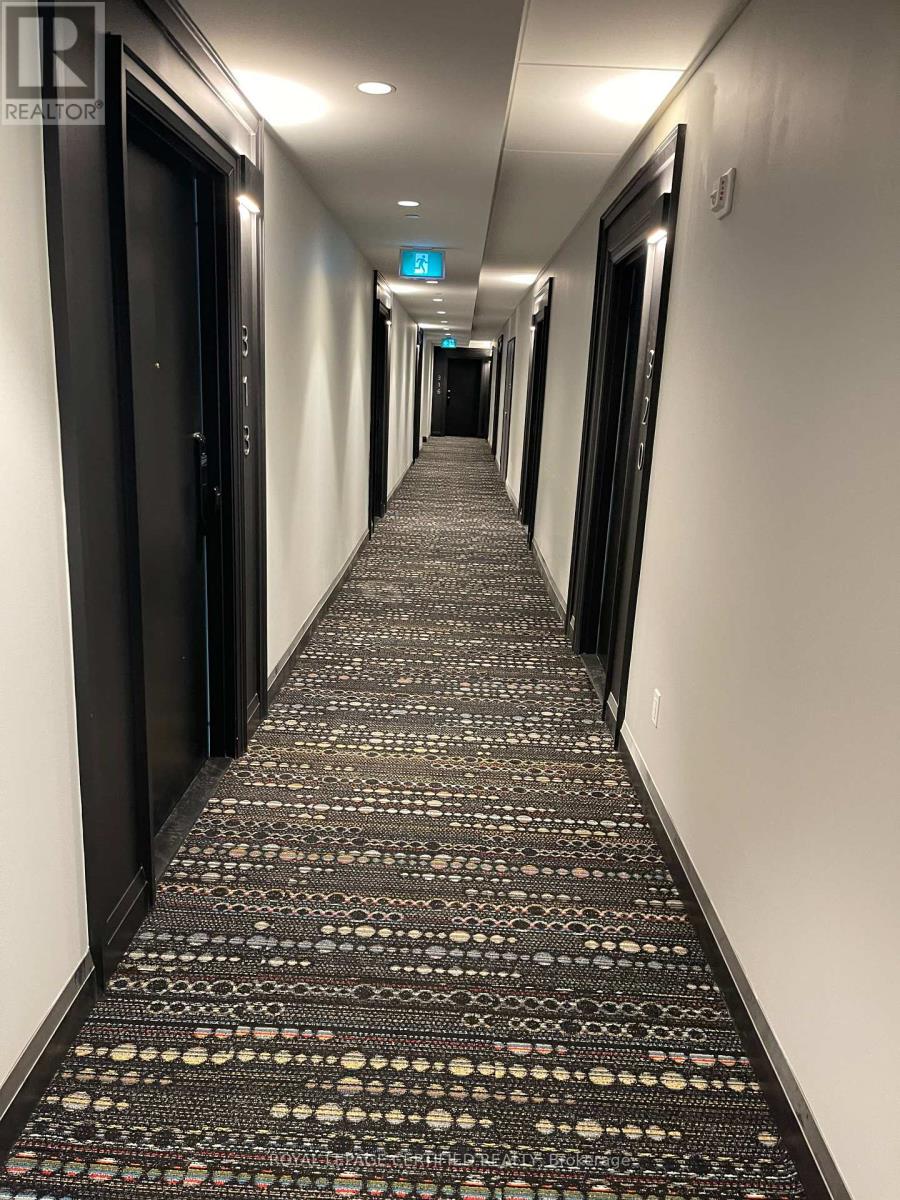 313 - 460 Gordon Krantz Avenue, Milton, Ontario  L9T 2X5 - Photo 11 - W12803330