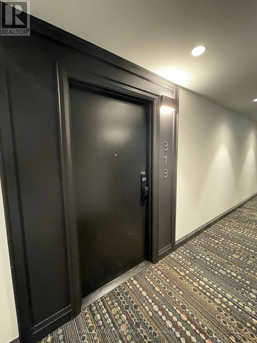 313 - 460 Gordon Krantz Avenue, Milton, Ontario  L9T 2X5 - Photo 10 - W12803330