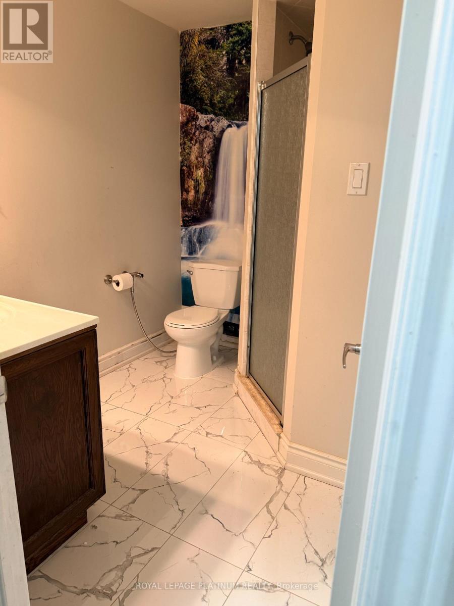 Legal Basement - 1540 Manorbrook Court, Mississauga, Ontario  L5M 4A8 - Photo 17 - W12621624