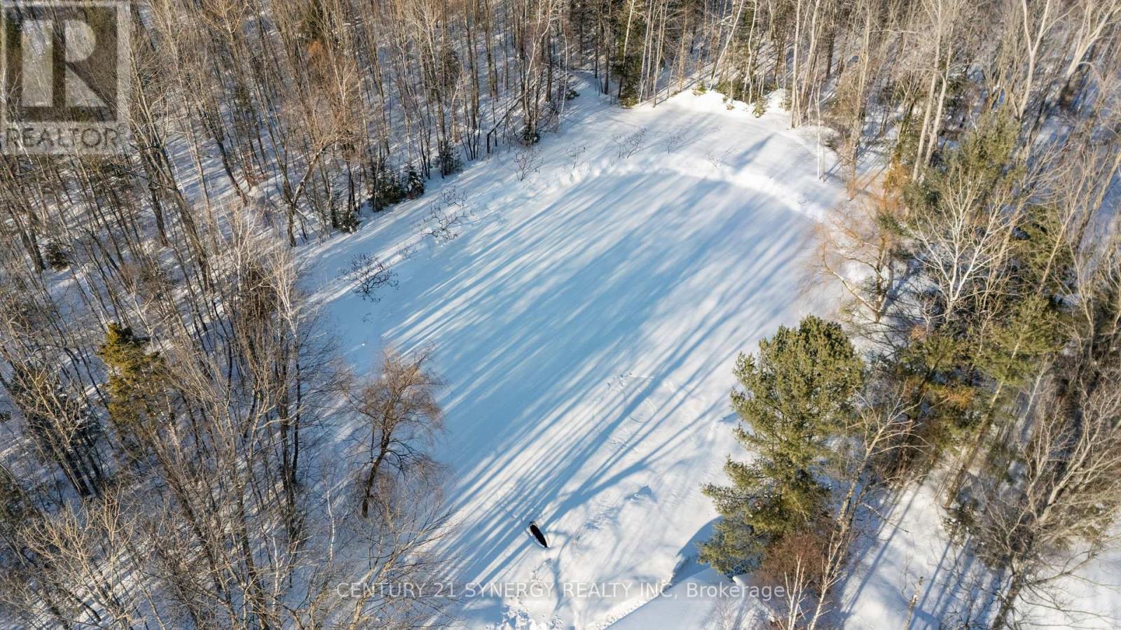 260 County 19 Road, Alfred And Plantagenet, Ontario  K0A 3K0 - Photo 34 - X12772910