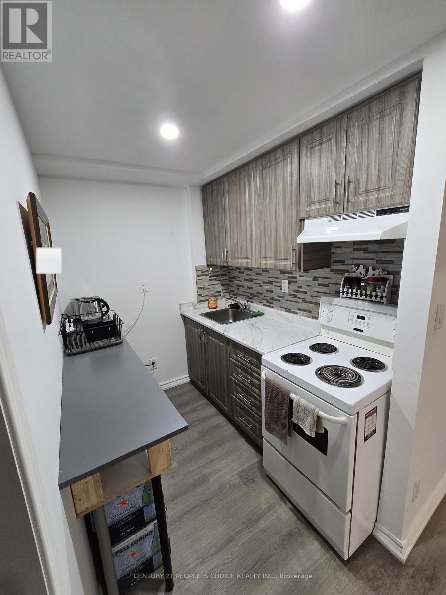 Basement - 4842 Rosebush Road, Mississauga, Ontario  L5M 5M1 - Photo 8 - W12810216