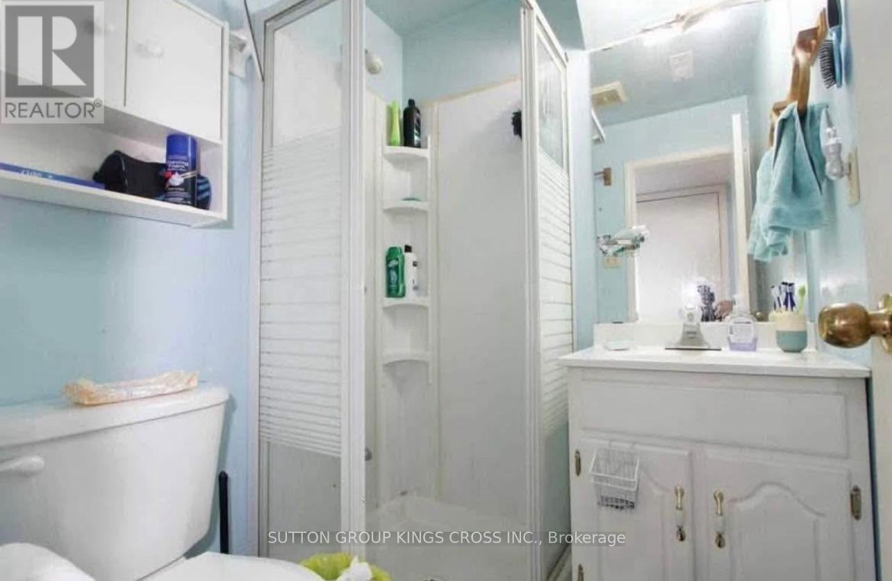 Bsmt - 5145 Palomar Crescent, Mississauga, Ontario  L5R 2X1 - Photo 5 - W12810232