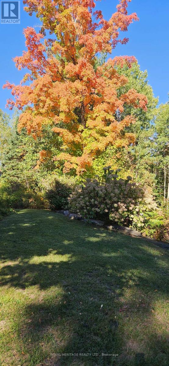 10175 Highway 41 Highway, Addington Highlands, Ontario  K0H 1Z0 - Photo 38 - X12461313