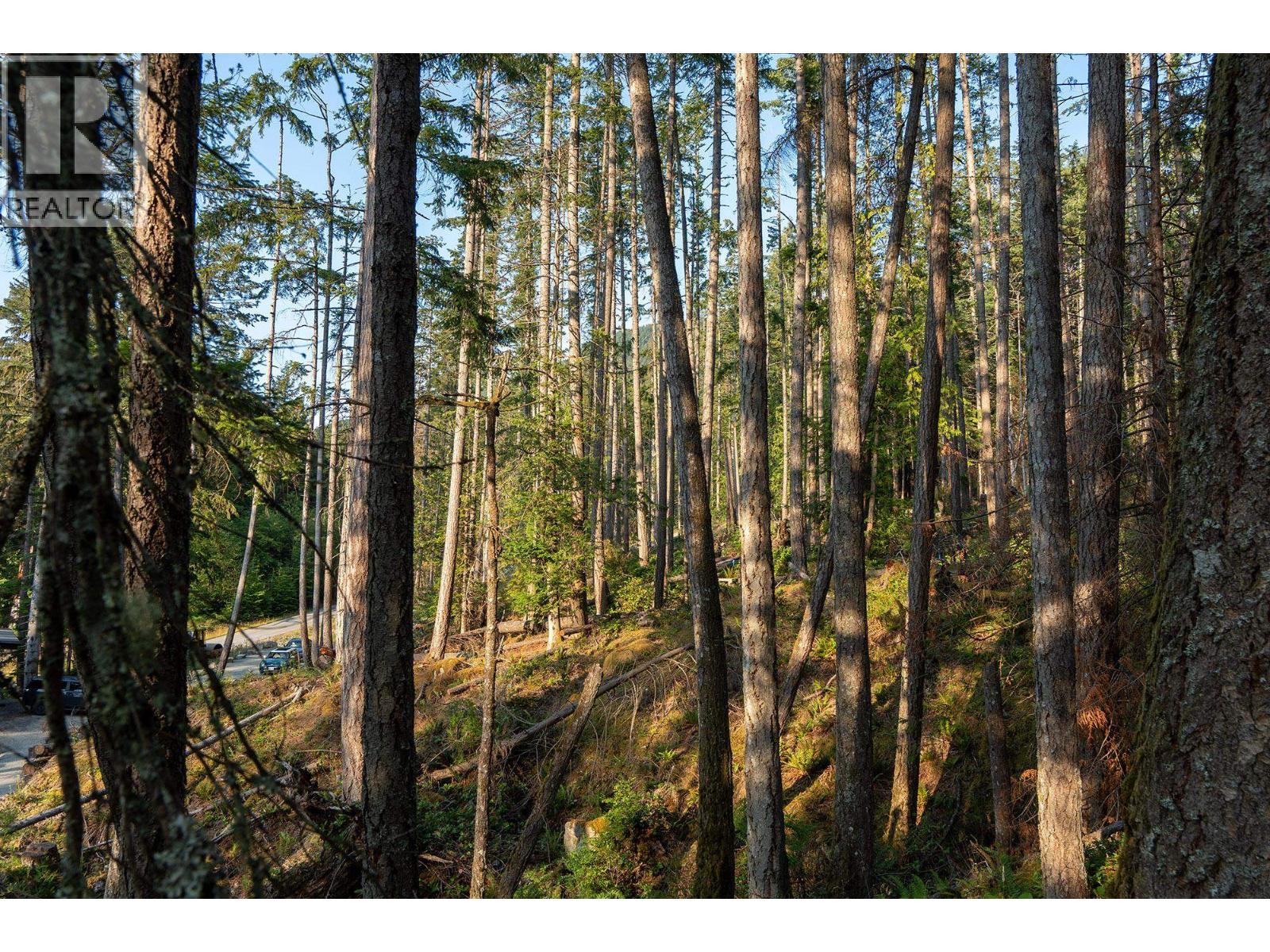 786 Hayes Road, Bowen Island, British Columbia  V0N 1G2 - Photo 7 - R3074402