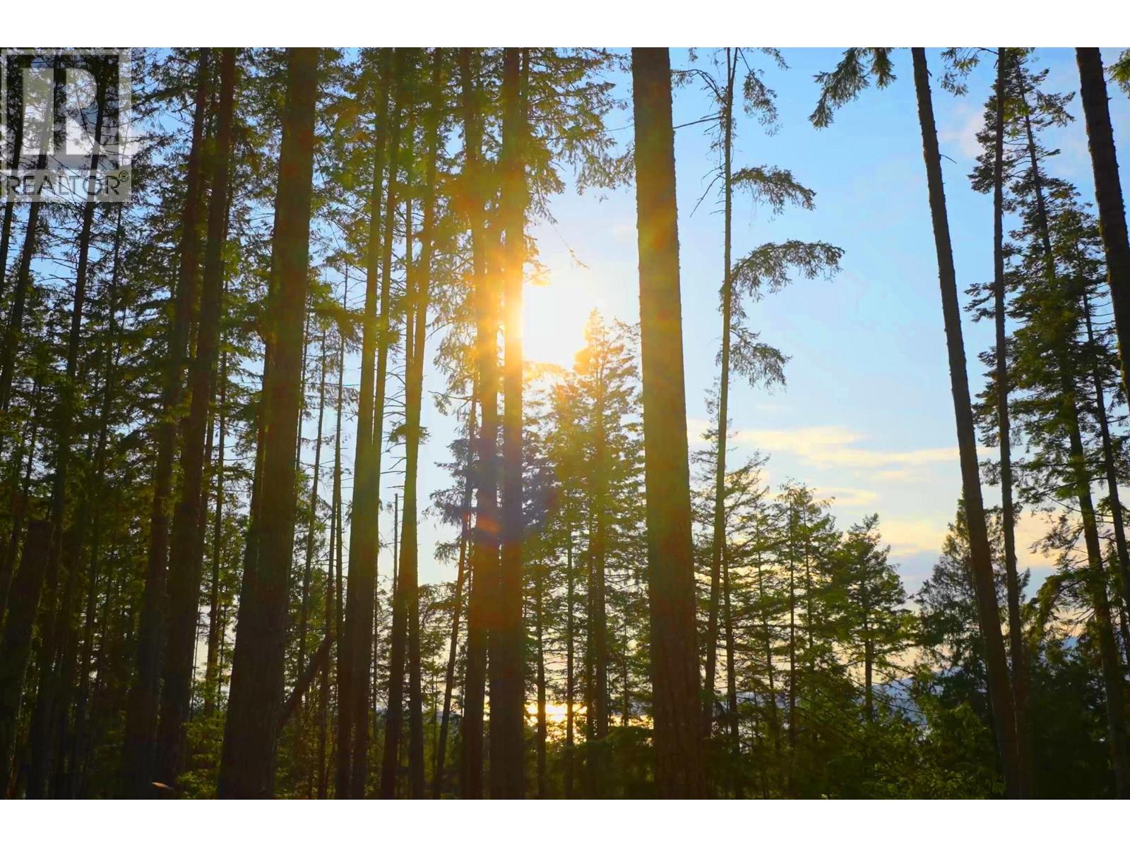 786 Hayes Road, Bowen Island, British Columbia  V0N 1G2 - Photo 10 - R3074402