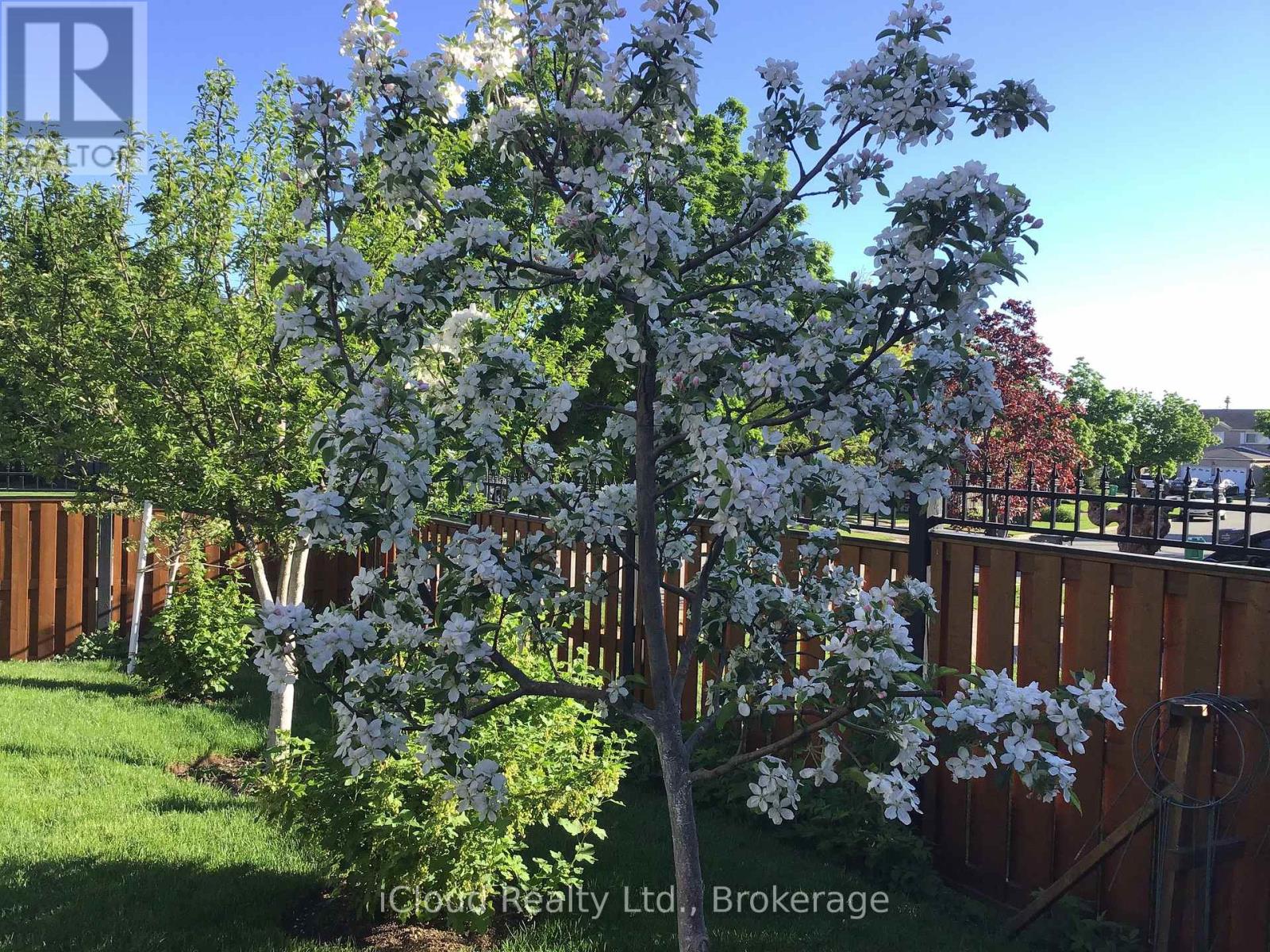 6539 Tripoli Terrace, Mississauga, Ontario  L5N 4L1 - Photo 45 - W12810606